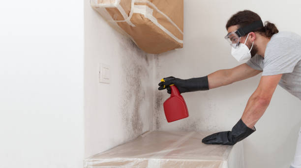Professional Basement Mold Remediation technician working in Manchester, GA