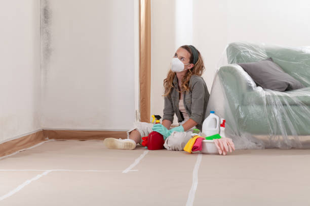 Reliable Basement Mold Remediation contractor in Manchester, GA by Mold Remediation HQ